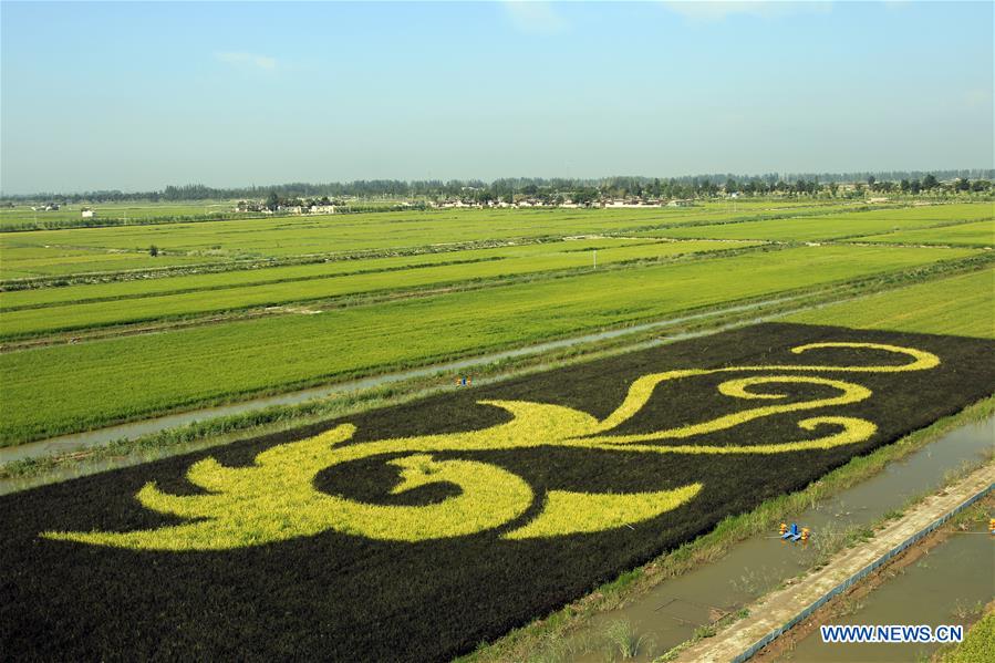 CHINA-NINGXIA-AGRICULTURE-ECONOMY(CN)