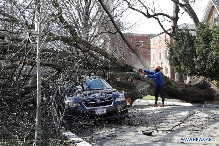 U.S.-WASHINGTON D.C.-WINDSTORM