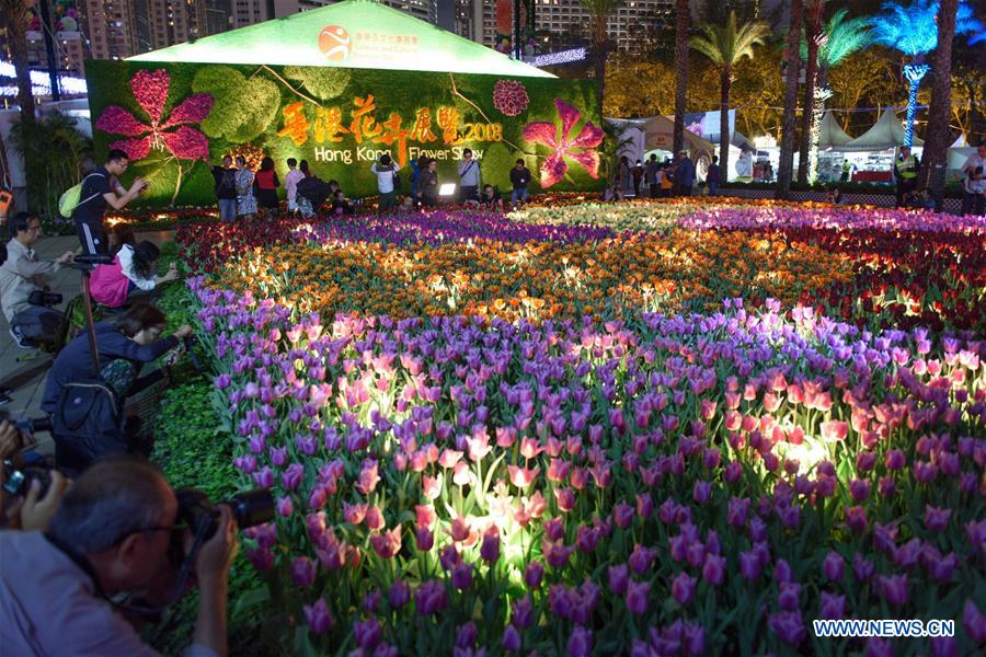 CHINA-HONG KONG-FLOWER SHOW (CN)