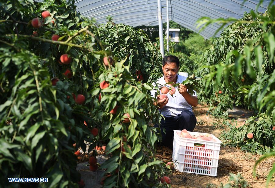 CHINA-CHONGQING-WULONG-POVERTY ALLEVIATION (CN)