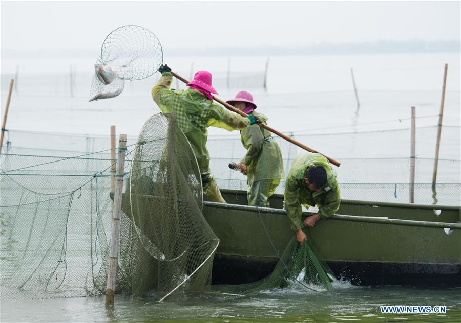 CHINA-ZHEJIANG-TAIHU LAKE-FISHING BAN-END (CN)