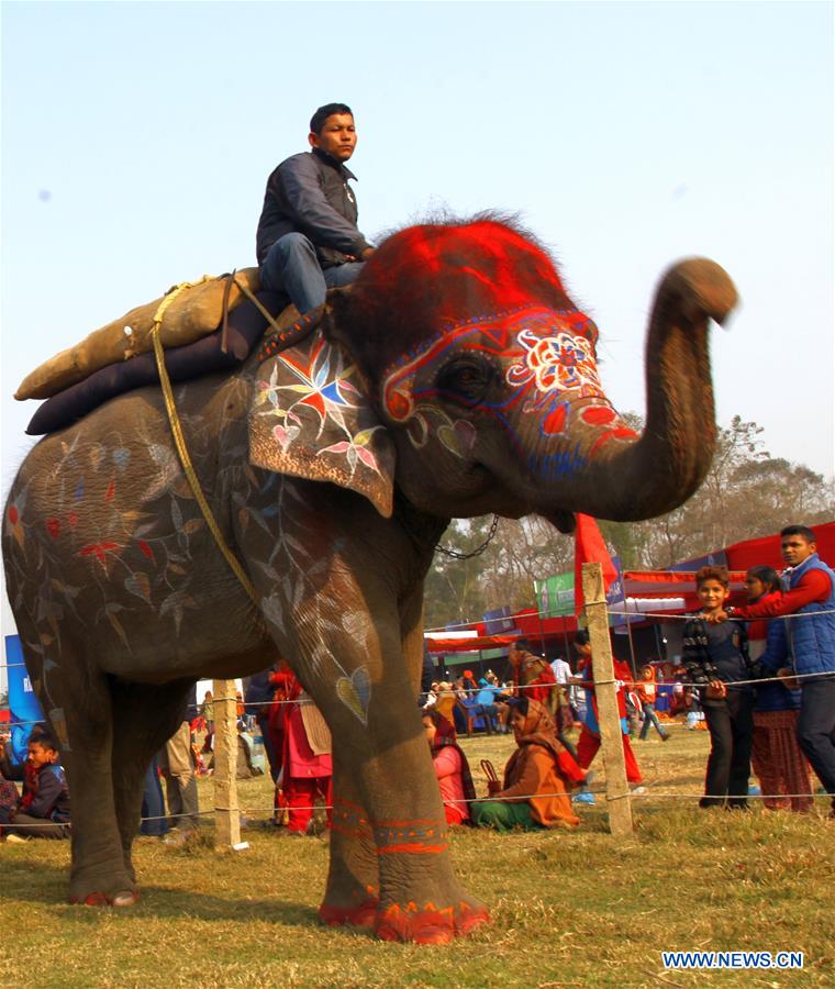 NEPAL-CHITWAN-ELEPHANT FESTIVAL-BEAUTY CONTEST