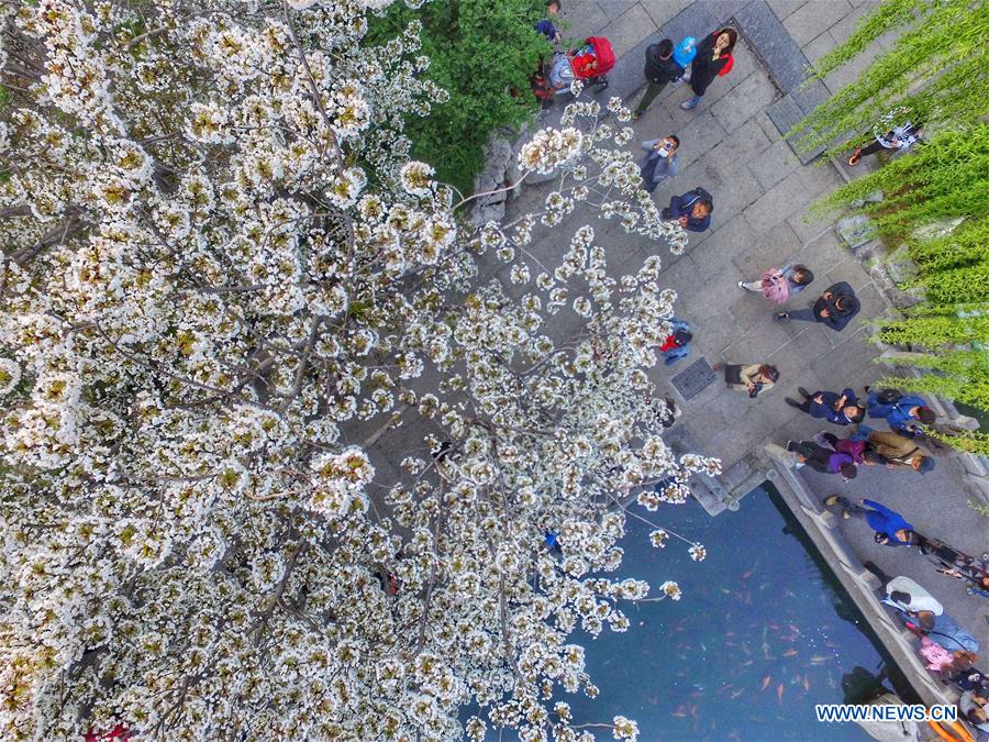 # CHINA-SPRING-SCENERY (CN)