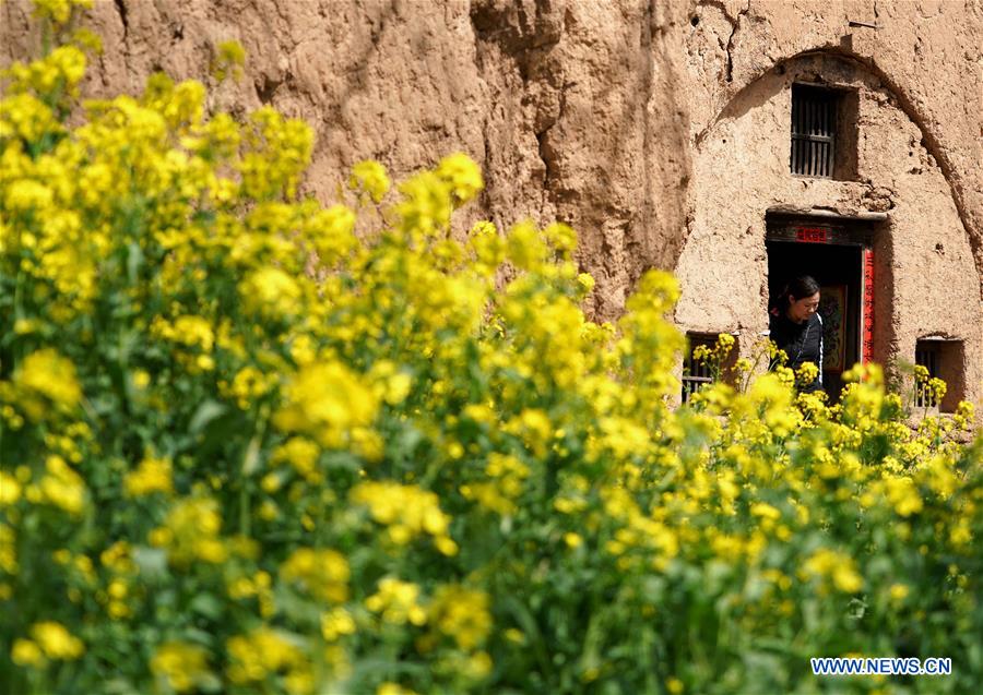 CHINA-HENAN-LUONING-SPRING SCENERY (CN)