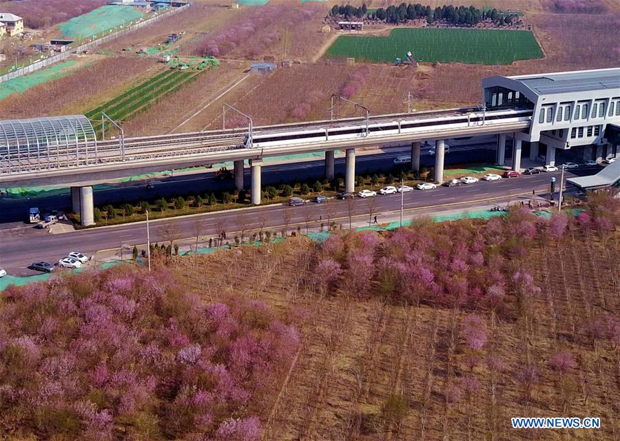 #CHINA-SHANDONG-JINAN-METRO LINE-COMMERCIAL OPERATION (CN)