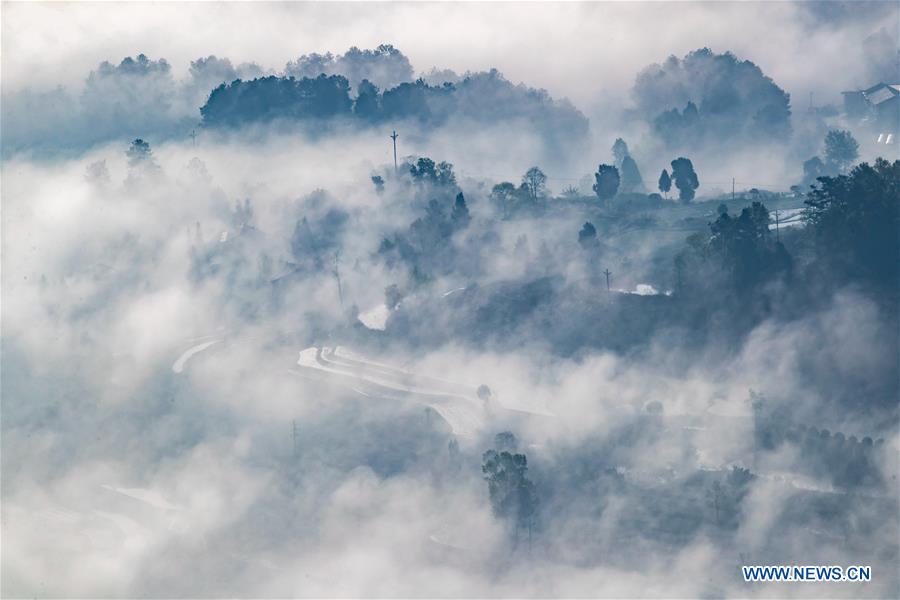 #CHINA-CHONGQING-WEATHER-FOG (CN)