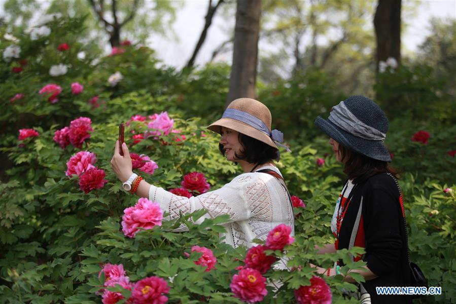 #CHINA-YANGZHOU-FLOWER EXHIBITION(CN)