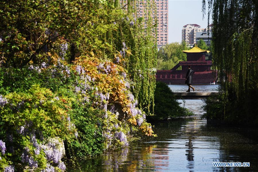 CHINA-SHANDONG-JINAN-DAMING LAKE-SCENERY (CN)