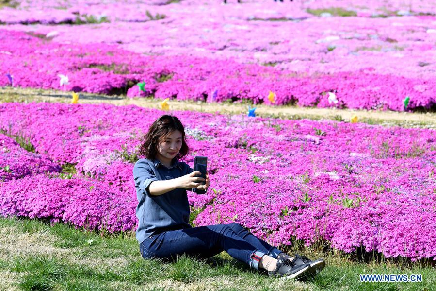 CHINA-ANHUI-FLOWERS-TOURISM (CN)