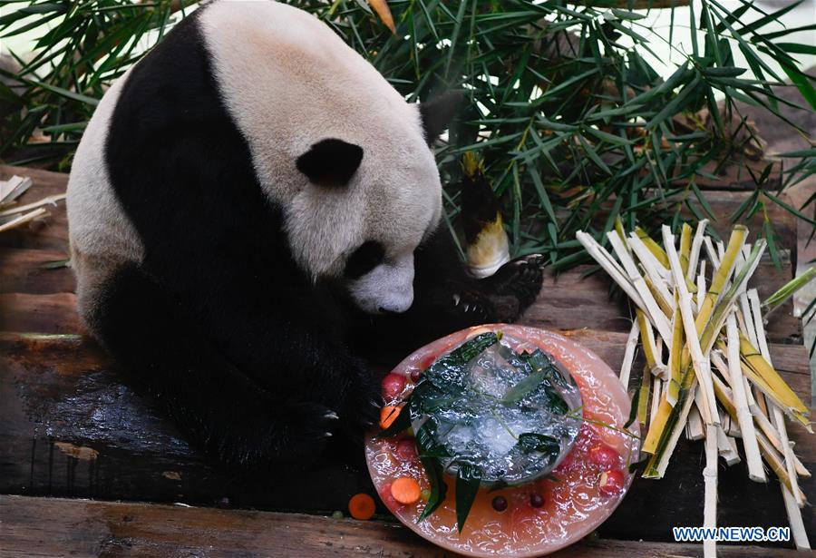 CHINA-HAINAN-HAIKOU-ZOO-HEAT WAVE (CN)