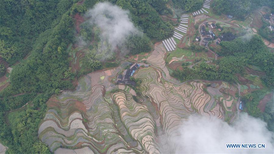 #CHINA-GUIZHOU-ZUNYI-TERRACED FIELDS (CN)