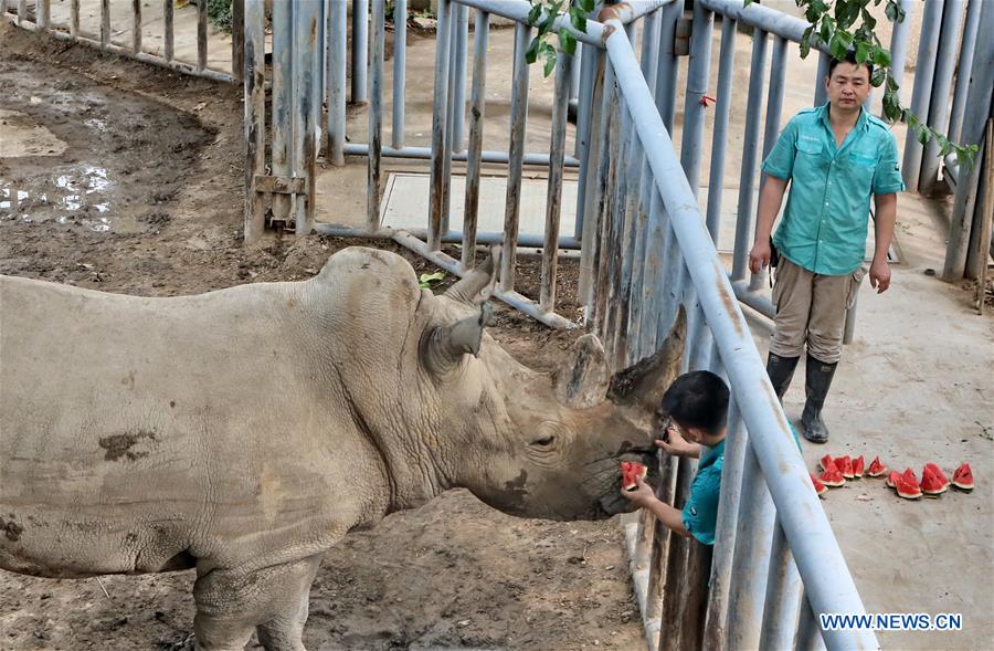 CHINA-BEIJING ZOO-SUMMER (CN)