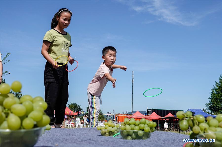 CHINA-ZHEJIANG-HANGZHOU-GRAPES-TOURISM (CN)