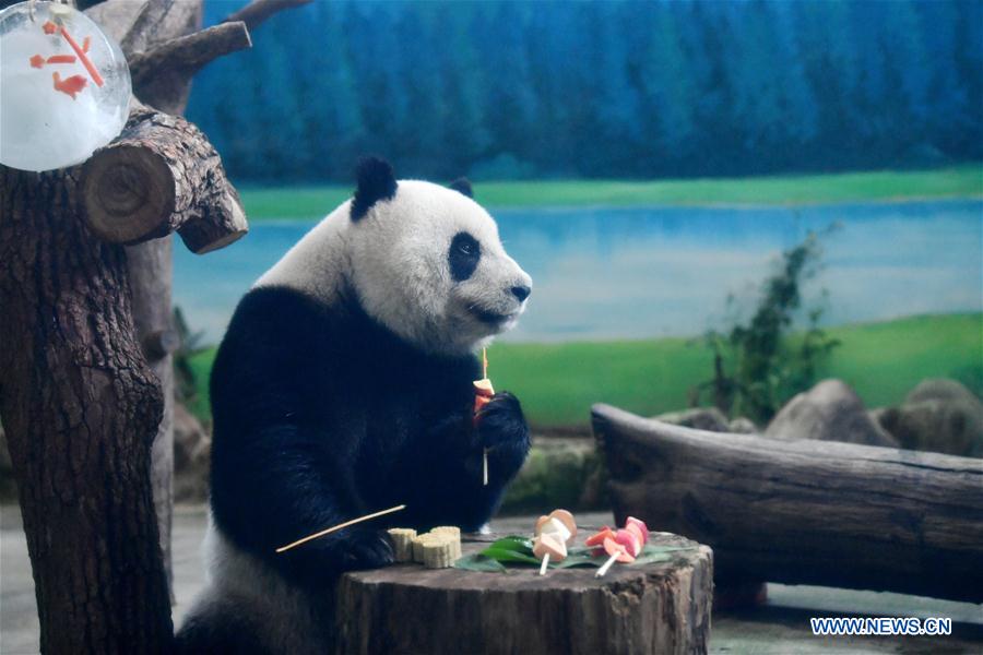 CHINA-TAIPEI-GIANT PANDAS-MID-AUTUMN FESTIVAL (CN)