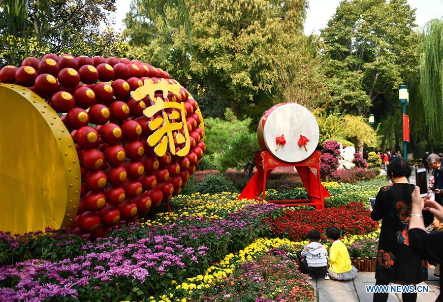 CHINA-SHANDONG-JINAN-CHRYSANTHEMUM (CN)