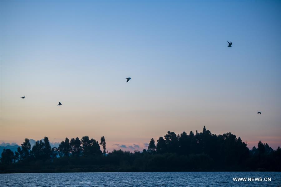 CHINA-YUNNAN-KUNMING-DIANCHI LAKE-SCENERY (CN)