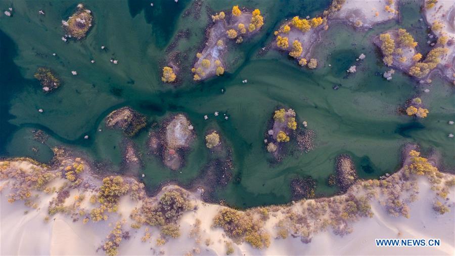 CHINA-XINJIANG-YULI-LOP LAKE-SCENERY (CN)