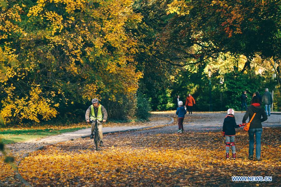 BELGIUM-BRUSSELS-AUTUMN SCENERY