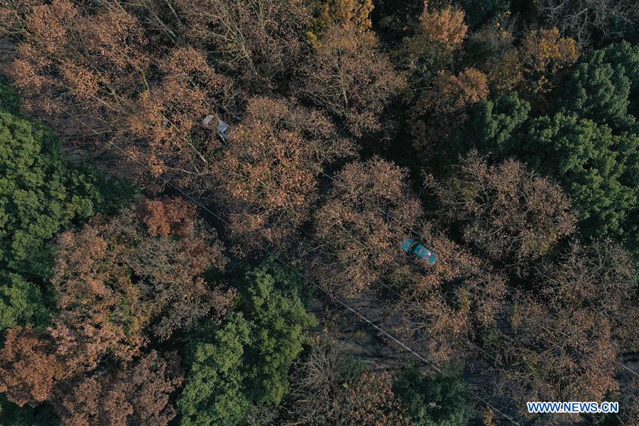 CHINA-ZHEJIANG-HANGZHOU-WEST LAKE-AERIAL VIEW (CN)