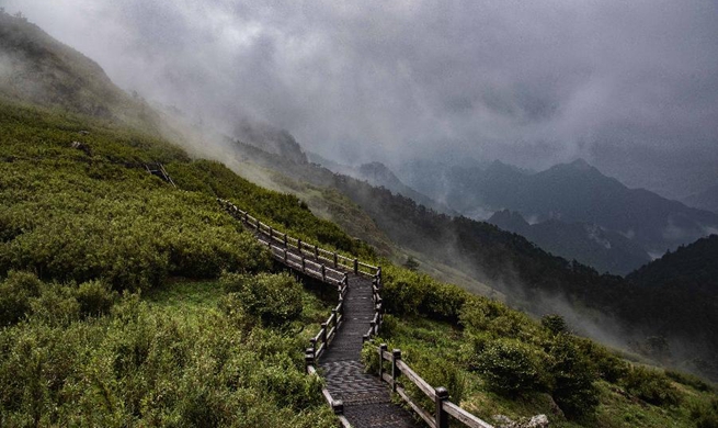 Scenery of Shennongjia National Park in China's Hubei