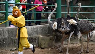 Monkey-themed activities held for lunar New Year, SE China