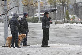 First snowfall this winter hits Vancouver