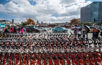 Shared bicycles seen in SW China's Kunming