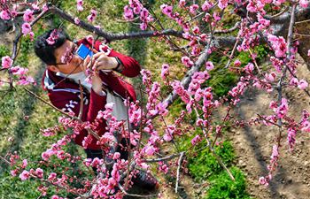 Beijing Ming Dynasty City Wall Relics Park colored by flowers