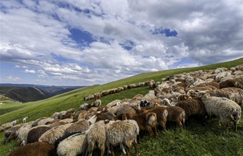 Scenery of NW China's Xinjiang