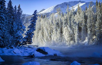 Kanas attracts visitors in winter with snow scenery in NW China's Xinjiang