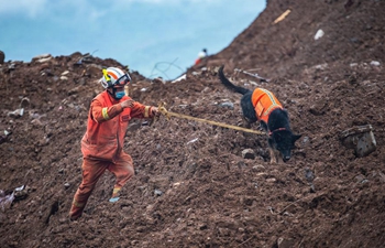 Death toll rises to 15 in SW China landslide