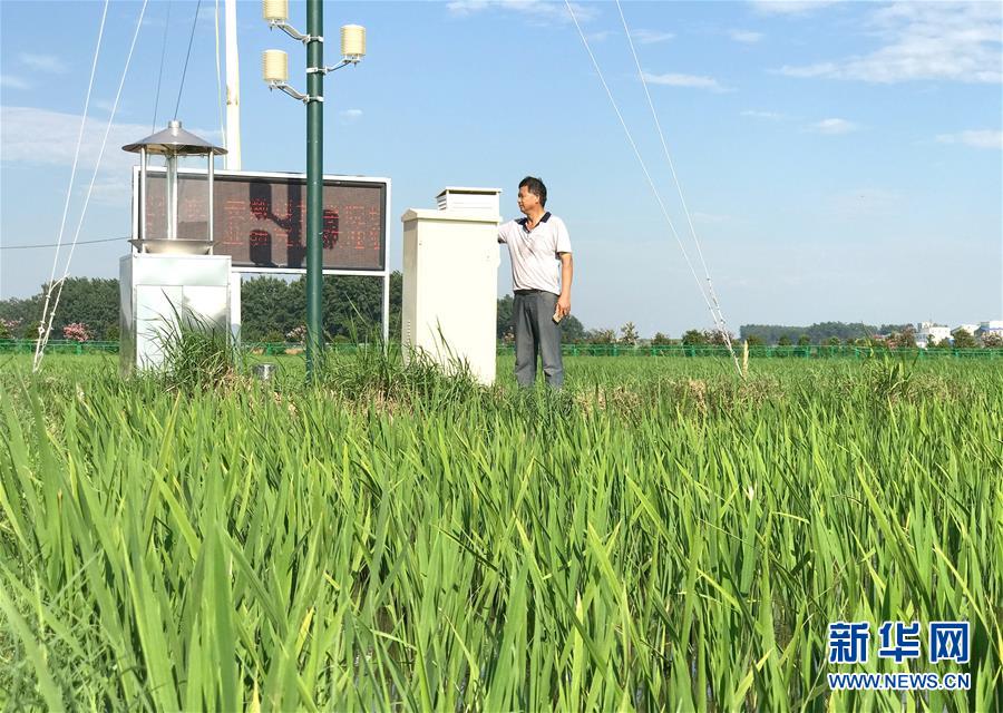 （新華全媒頭條·紀念改革開放40年特稿·圖文互動）（6）向著新航程揚帆奮進！——從小崗精神看中國改革開放40年