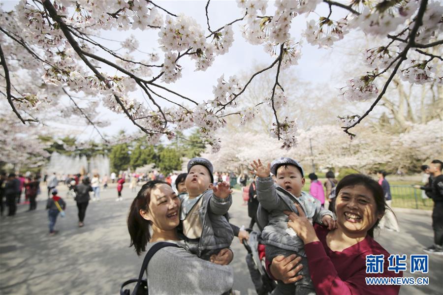 #（環(huán)境）（5）花開在四月