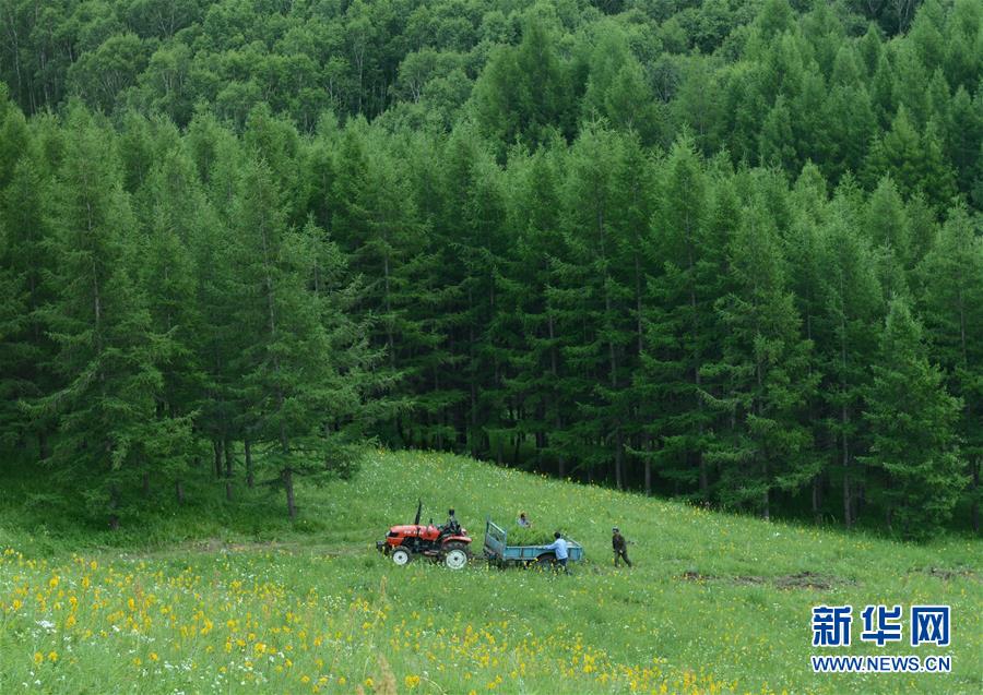 （壯闊東方潮 奮進(jìn)新時代——慶祝改革開放40年）（4）美麗中華大地書寫綠色傳奇