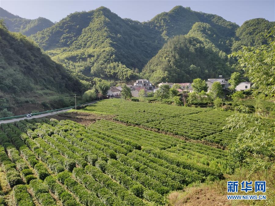 （圖文互動(dòng)）（1）漢江畔崛起生態(tài)城——來(lái)自南水北調(diào)中線核心水源地的調(diào)查報(bào)告