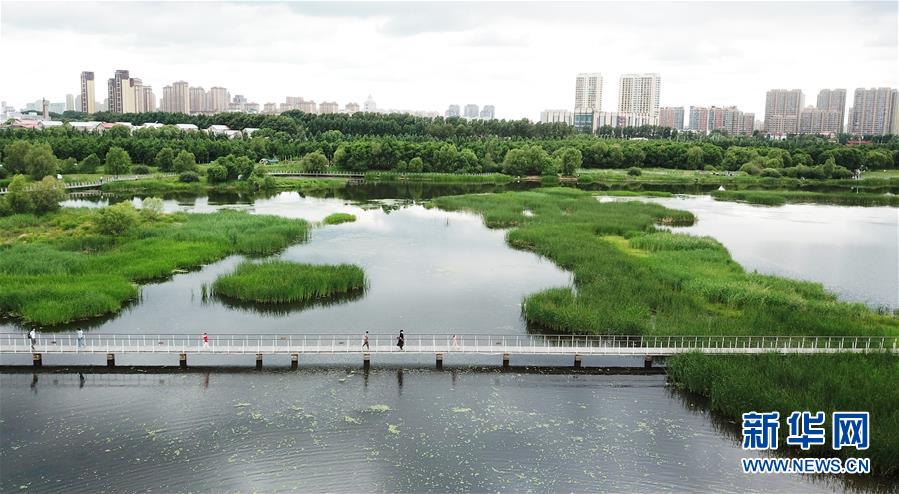 （走向我們的小康生活·圖文互動）（1）水清、地綠、空氣新——最北省份黑龍江繪就生態(tài)治理新畫卷