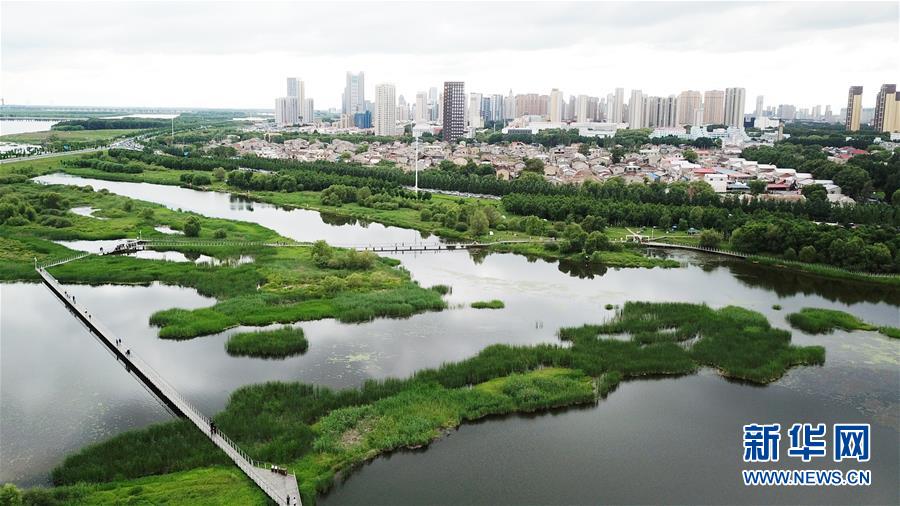 （走向我們的小康生活·圖文互動）（2）水清、地綠、空氣新——最北省份黑龍江繪就生態(tài)治理新畫卷