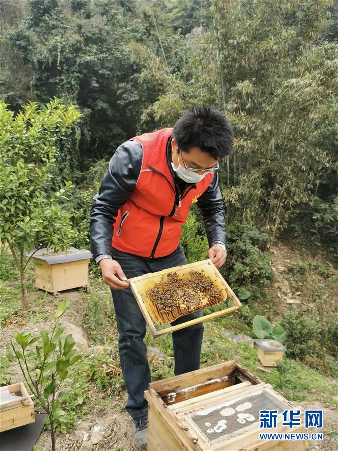 （新華全媒頭條·圖文互動）（3）初心赴使命 熱血寫春秋——記脫貧攻堅中的共產(chǎn)黨員