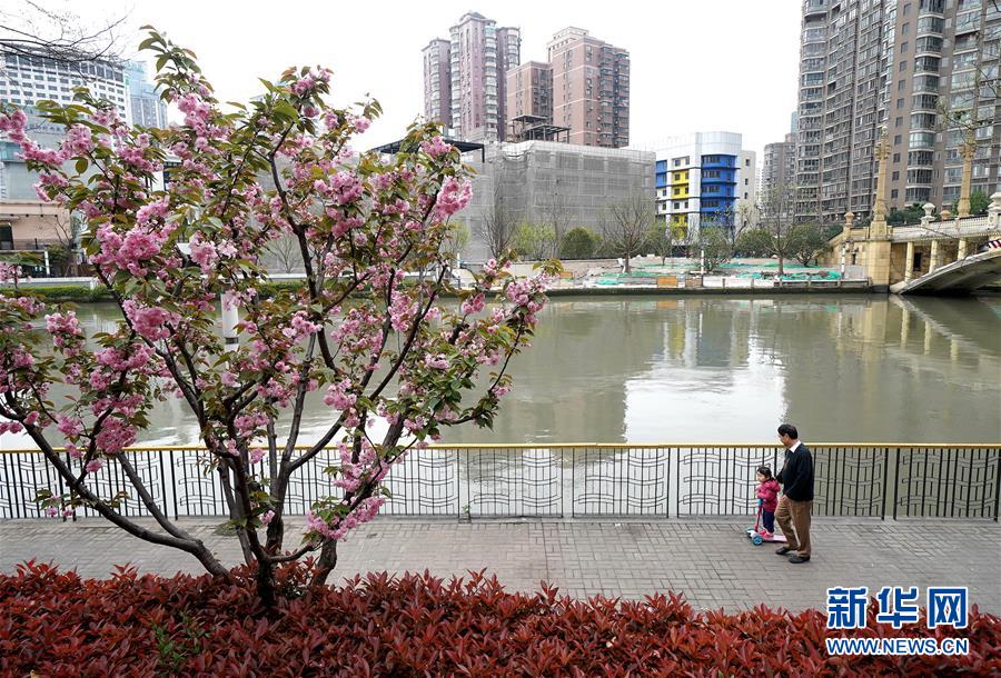 （新華全媒頭條·走向我們的小康生活·圖文互動）（12）城市，讓人民生活更美好