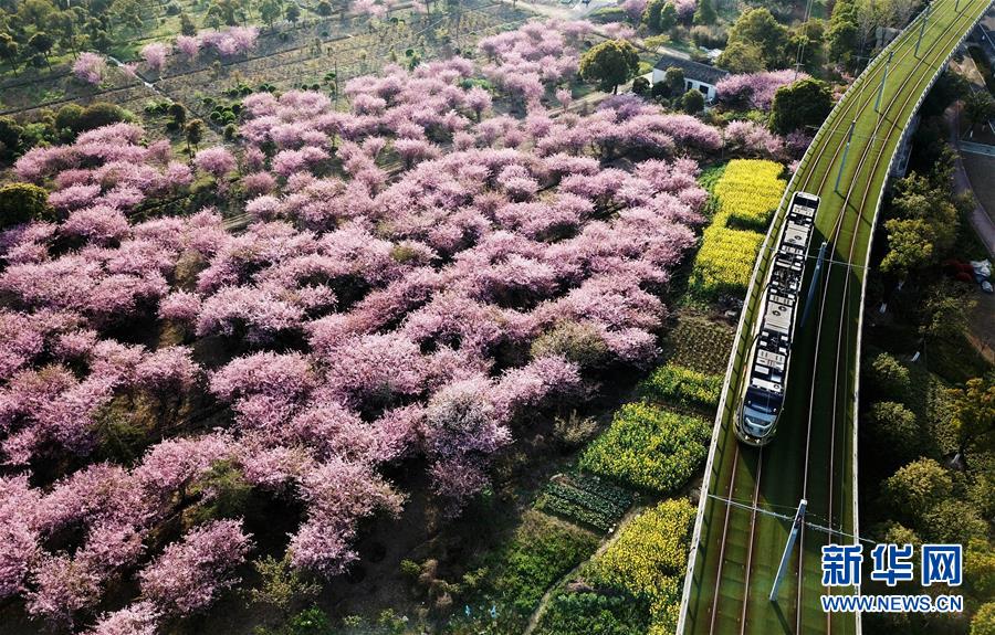 （新華全媒頭條·圖文互動）（4）偉大旗幟引領歷史巨變——習近平新時代中國特色社會主義思想指引“十三五”經濟社會發(fā)展述評