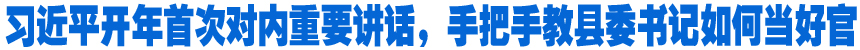 習(xí)近平開年首次對內(nèi)重要講話，手把手教縣委書記如何當(dāng)好官