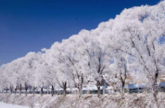 全國初雪時(shí)間表出爐 看看你離初雪還有多遠(yuǎn)？