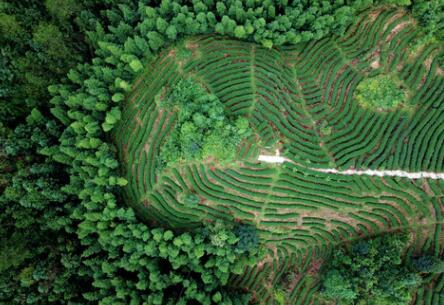 福建龍巖：高效用地，提升生態(tài)環(huán)境水平