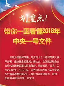 劃重點！帶你一圖看懂2018年中央一號文件