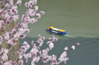 花開(kāi)劉家峽