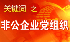 王京清：非公企業(yè)建立黨組織服務(wù)企業(yè)發(fā)展、服務(wù)員工