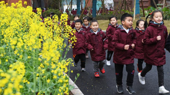 教育部：12種情形中小學問題課外讀物禁止進校園