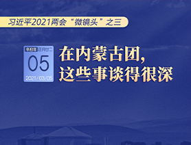 習(xí)近平2021兩會(huì)“微鏡頭”之三 3月5日 在內(nèi)蒙古團(tuán)，這些事談得很深