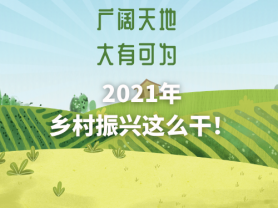 廣闊天地 大有可為 2021年鄉(xiāng)村振興這么干！