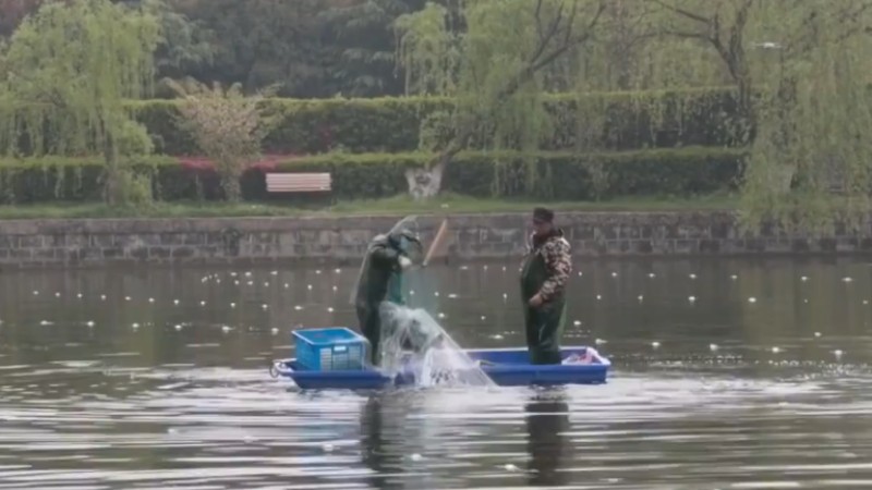 別人家的學校！安師大請師生吃一萬斤魚